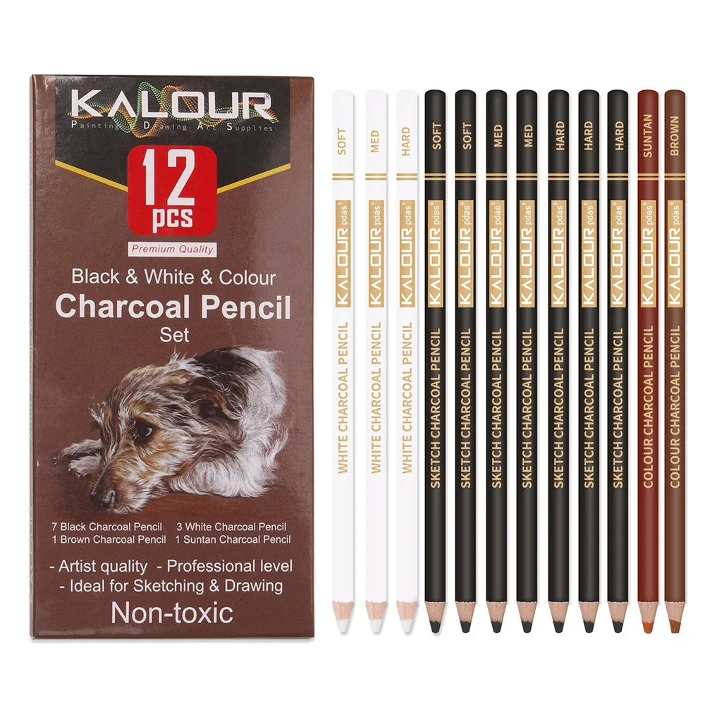 Coloured Charcoal Pencils Set, 6/12 Pcs