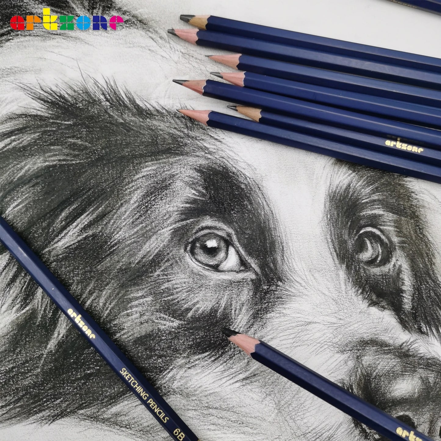 Professional Pencil Set, 12pcs 6H-12B. Ideal for Drawing Art, Sketching, Shading