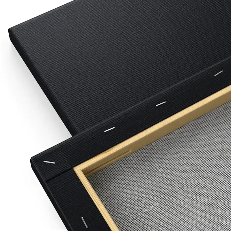 Black Canvas