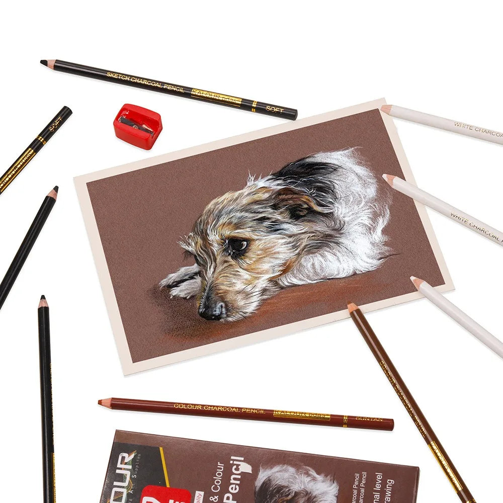 Coloured Charcoal Pencils Set, 6/12 Pcs