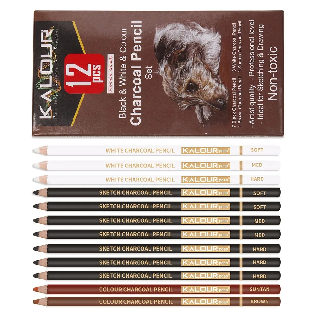 Coloured Charcoal Pencils Set, 6/12 Pcs