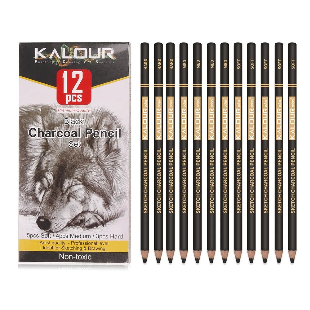 Coloured Charcoal Pencils Set, 6/12 Pcs
